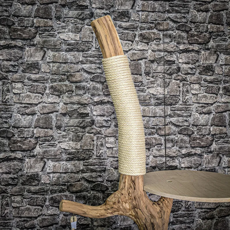 Naturkratzbaum 163 cm hoch Kratzbaum Natur Holz Design 2659 Katzenbaum