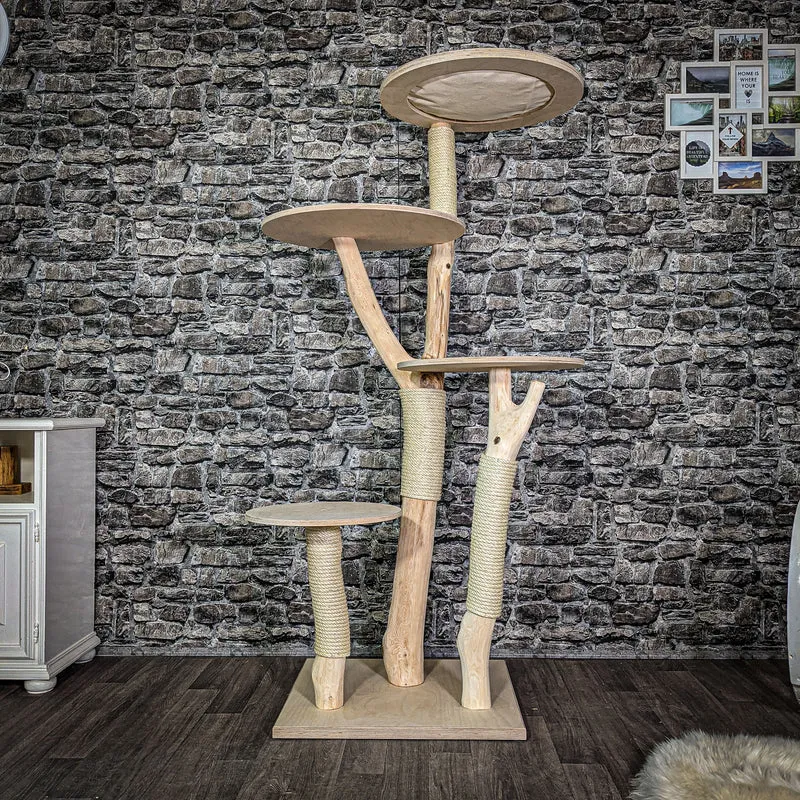 Naturkratzbaum 172 cm hoch Kratzbaum Natur Holz Design 2661 Katzenbaum