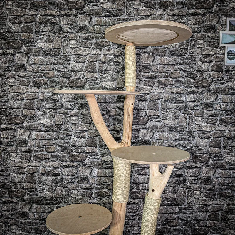 Naturkratzbaum 172 cm hoch Kratzbaum Natur Holz Design 2661 Katzenbaum