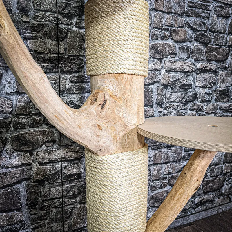 Naturkratzbaum 123 cm hoch Kratzbaum Natur Holz Design 2664 Katzenbaum