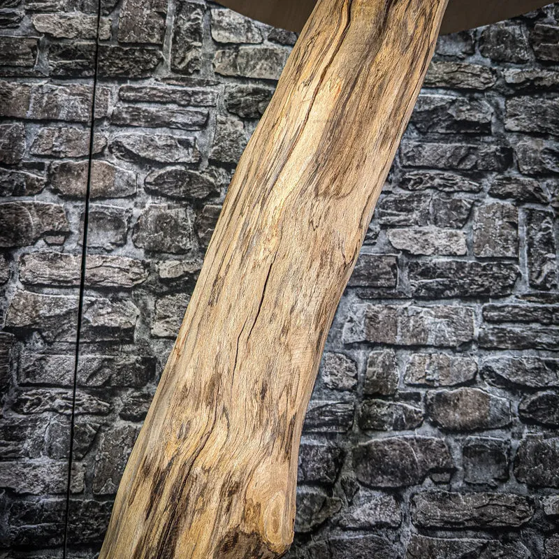 Naturkratzbaum 150 cm hoch Kratzbaum Natur Holz Design 2670 Katzenbaum