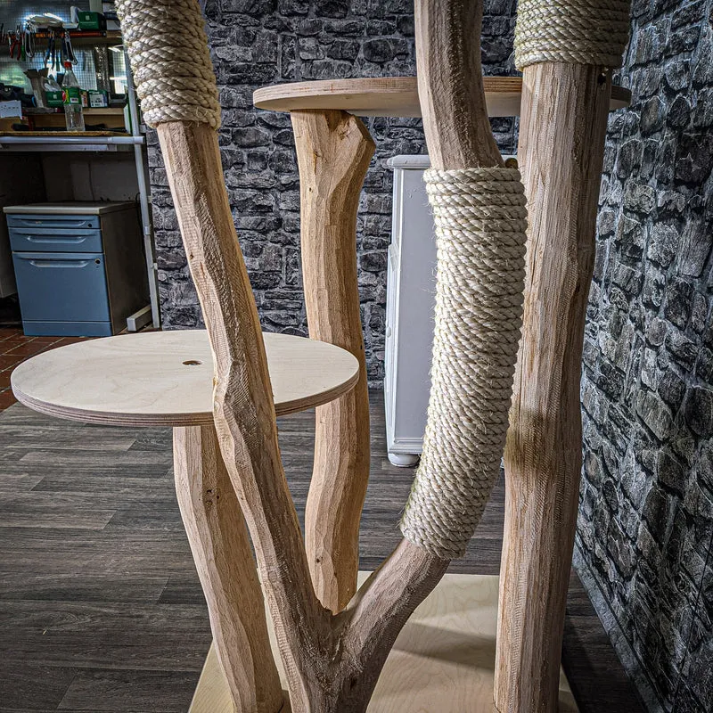 Naturkratzbaum 2785 Kratzbaum Natur Holz Design 205 cm hoch Katzenbaum