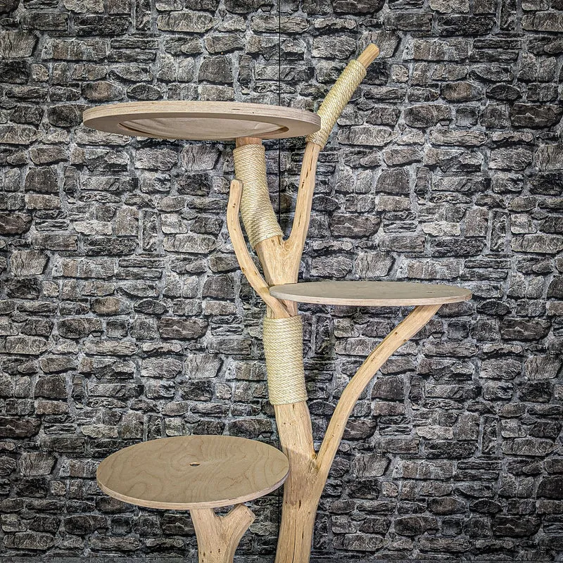 Naturkratzbaum 160 cm hoch Kratzbaum Natur Holz Design 2783 Katzenbaum