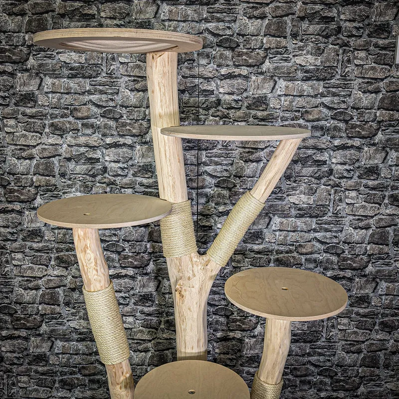 Naturkratzbaum 176 cm hoch Kratzbaum Natur Holz Design 2782 Katzenbaum