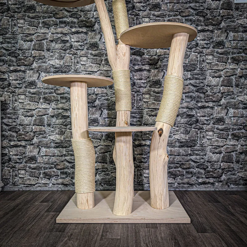 Naturkratzbaum 175 cm hoch Kratzbaum Natur Holz Design 2780 Katzenbaum
