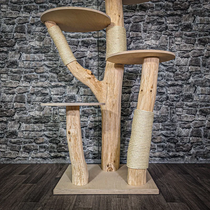 Naturkratzbaum 143 cm hoch Kratzbaum Natur Holz Design 2779 Katzenbaum