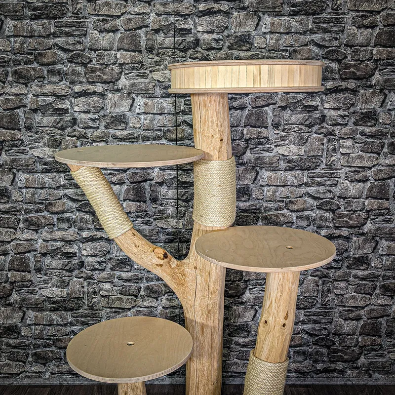Naturkratzbaum 143 cm hoch Kratzbaum Natur Holz Design 2779 Katzenbaum