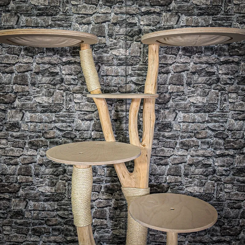 Naturkratzbaum 148 cm hoch Kratzbaum Natur Holz Design 2774 Katzenbaum