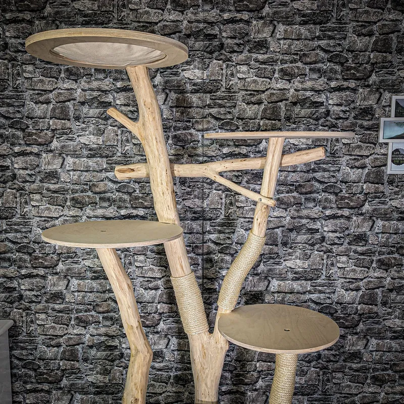 Naturkratzbaum 205 cm hoch Kratzbaum Natur Holz Design 2770 Katzenbaum