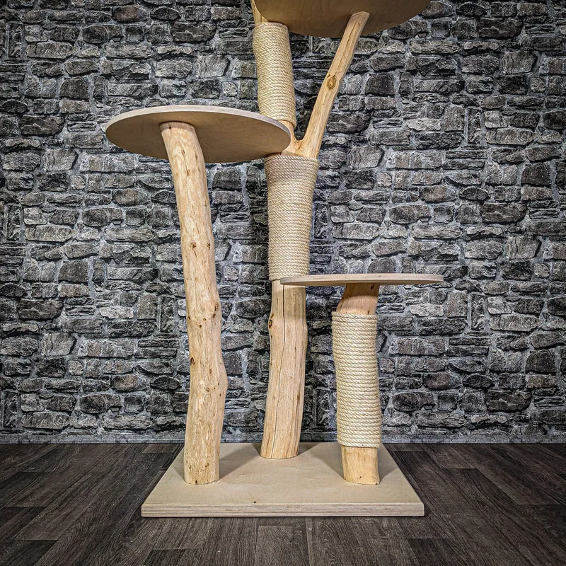 Naturkratzbaum 164 cm hoch Kratzbaum Natur Holz Design 2769 Katzenbaum