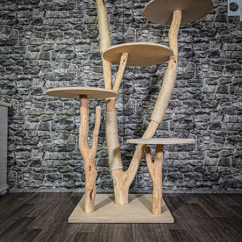 Naturkratzbaum 173 cm hoch Kratzbaum Natur Holz Design 2765 Katzenbaum