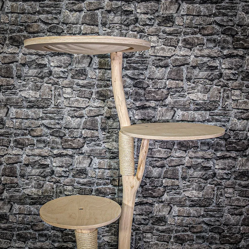 Naturkratzbaum 136 cm hoch Kratzbaum Natur Holz Design 2764 Katzenbaum