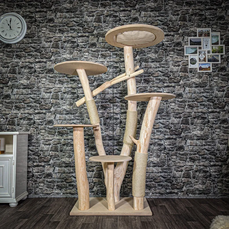 Naturkratzbaum 171 cm hoch Kratzbaum Natur Holz Design 2762 Katzenbaum