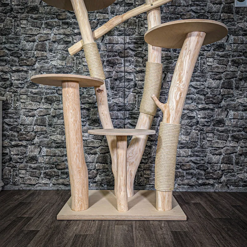 Naturkratzbaum 171 cm hoch Kratzbaum Natur Holz Design 2762 Katzenbaum