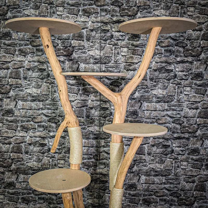 Naturkratzbaum 155 cm hoch Kratzbaum Natur Holz Design 2754 Katzenbaum