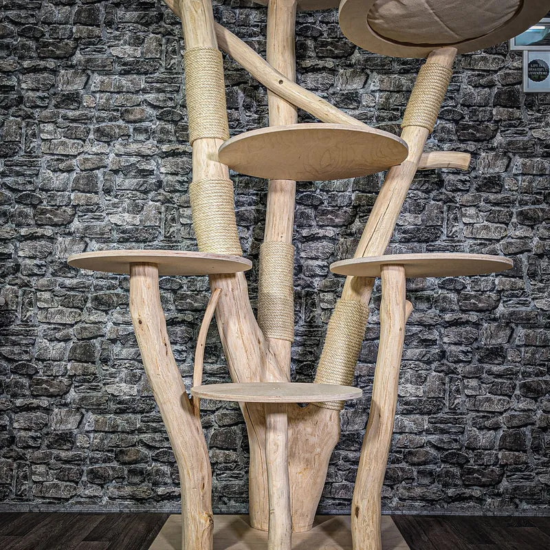 Naturkratzbaum 210 cm hoch Kratzbaum Natur Holz Design 2750 Katzenbaum
