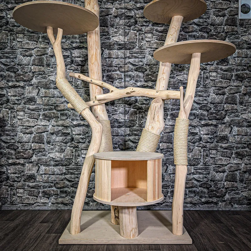 Naturkratzbaum 174 cm hoch Kratzbaum Natur Holz Design 2749 Katzenbaum