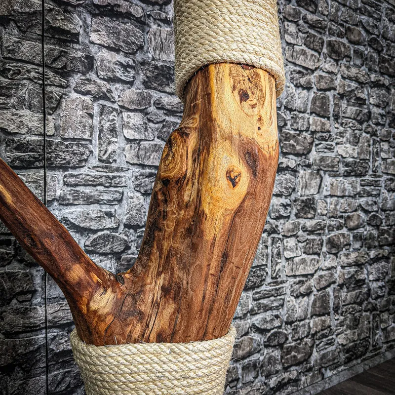Kratzstamm 118 cm hoch Natur Holz Design Kratzbaum 2744 Naturkratzbaum