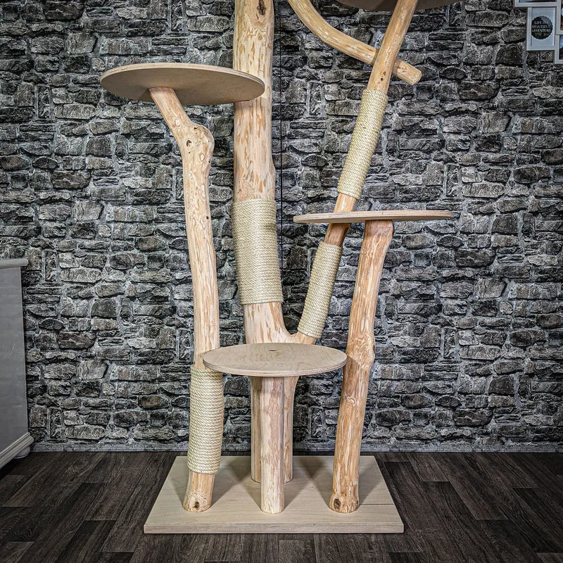 Naturkratzbaum 2719 Kratzbaum Natur Holz Design 206 cm hoch Katzenbaum