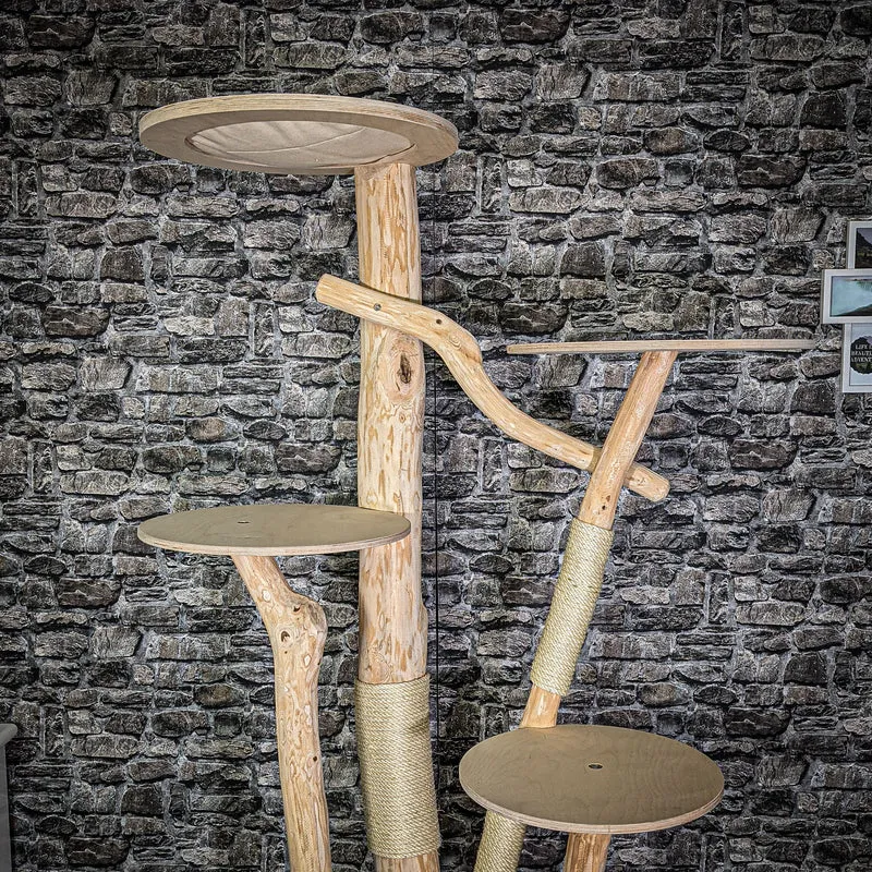 Naturkratzbaum 2719 Kratzbaum Natur Holz Design 206 cm hoch Katzenbaum