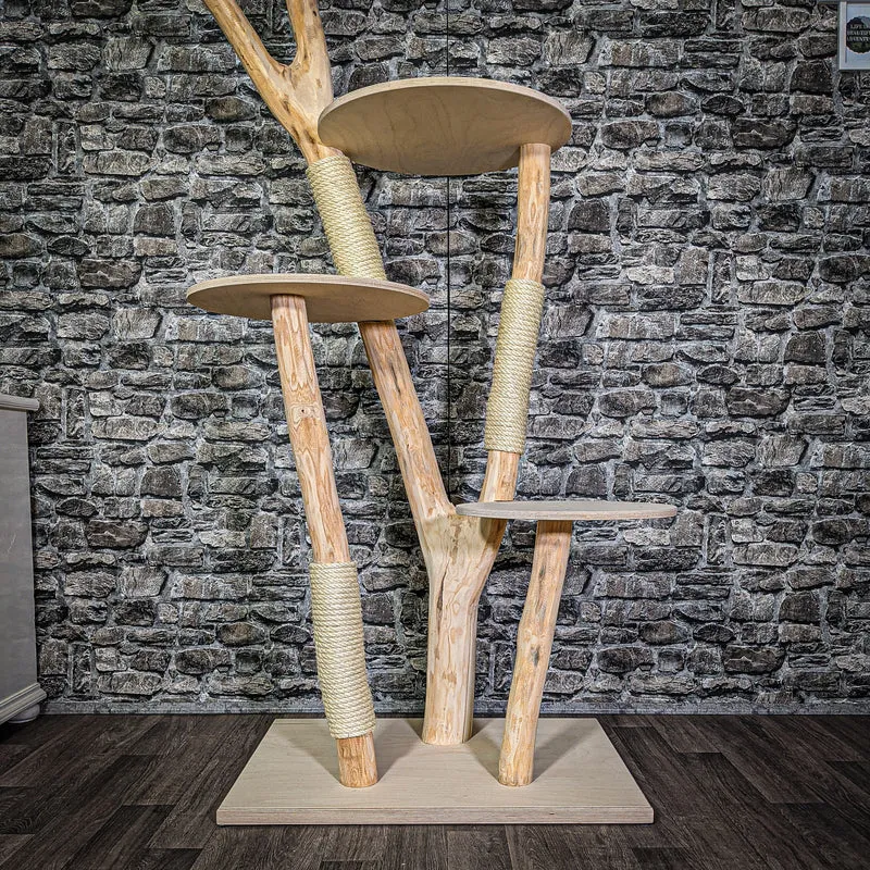 Naturkratzbaum 195 cm hoch Kratzbaum Natur Holz Design 2723 Katzenbaum