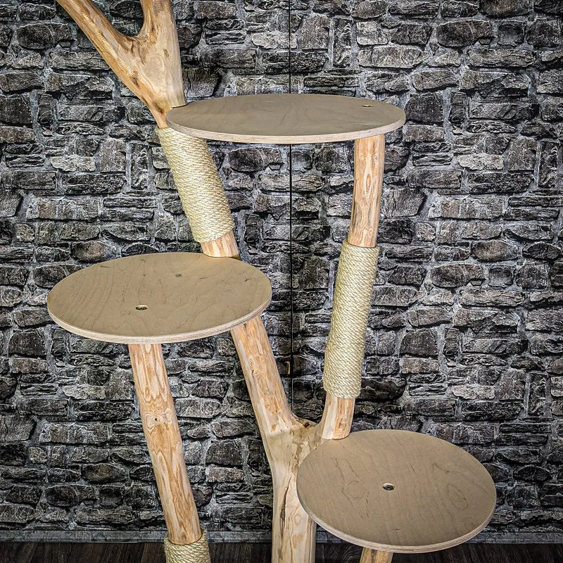 Naturkratzbaum 195 cm hoch Kratzbaum Natur Holz Design 2723 Katzenbaum