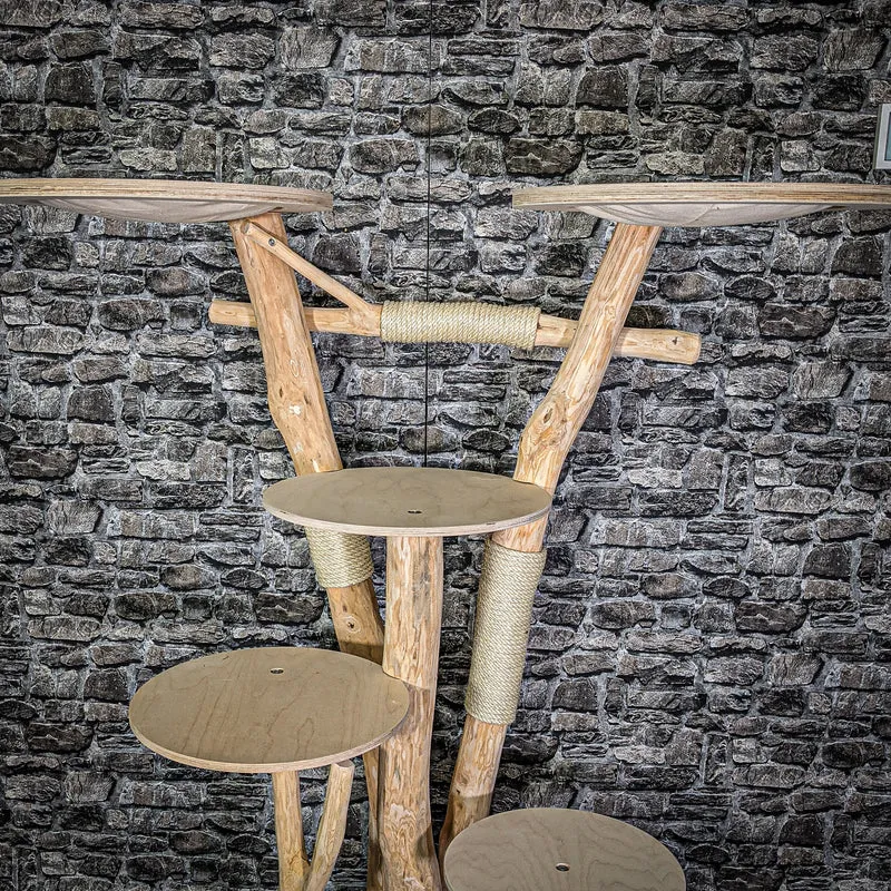 Naturkratzbaum 165 cm hoch Kratzbaum Natur Holz Design 2724 Katzenbaum