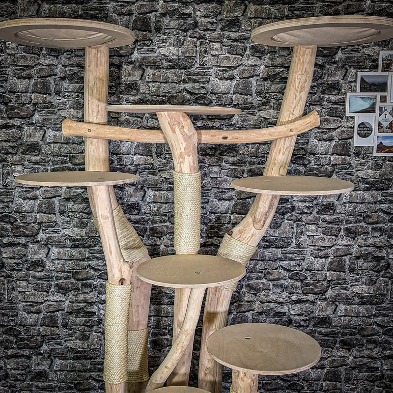 Naturkratzbaum 203 cm hoch Kratzbaum Natur Holz Design 2731 Katzenbaum