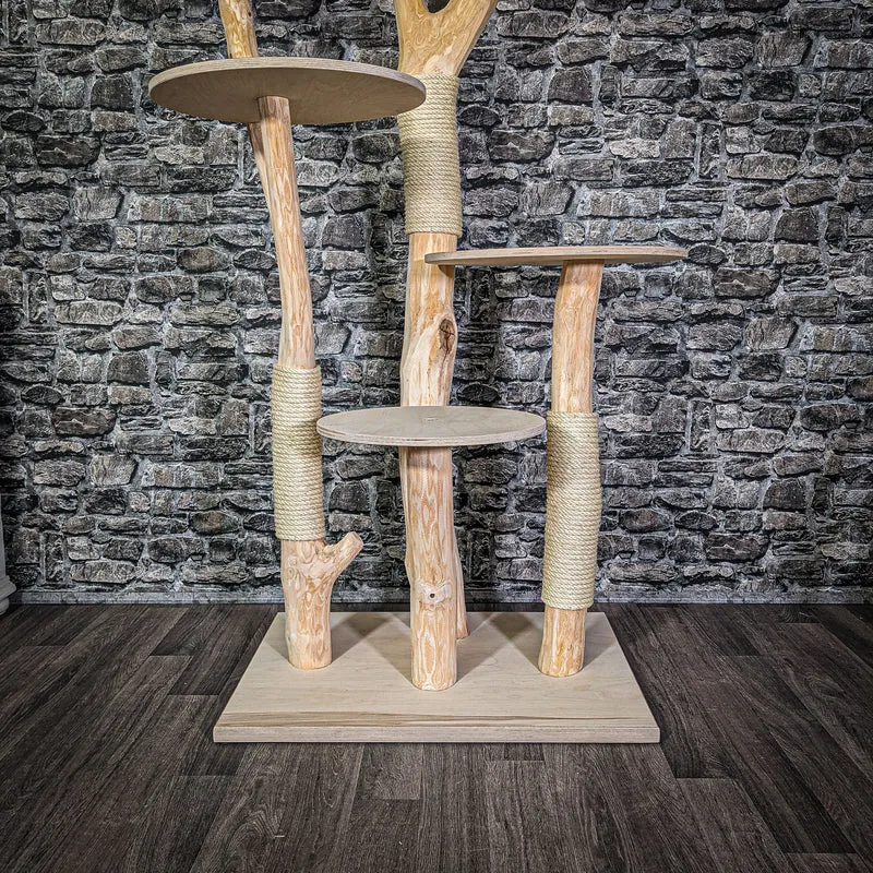 Naturkratzbaum 205 cm hoch Kratzbaum Natur Holz Design 2705 Katzenbaum