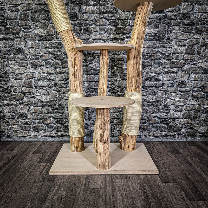 Naturkratzbaum 152 cm hoch Kratzbaum Natur Holz Design 2700 Katzenbaum