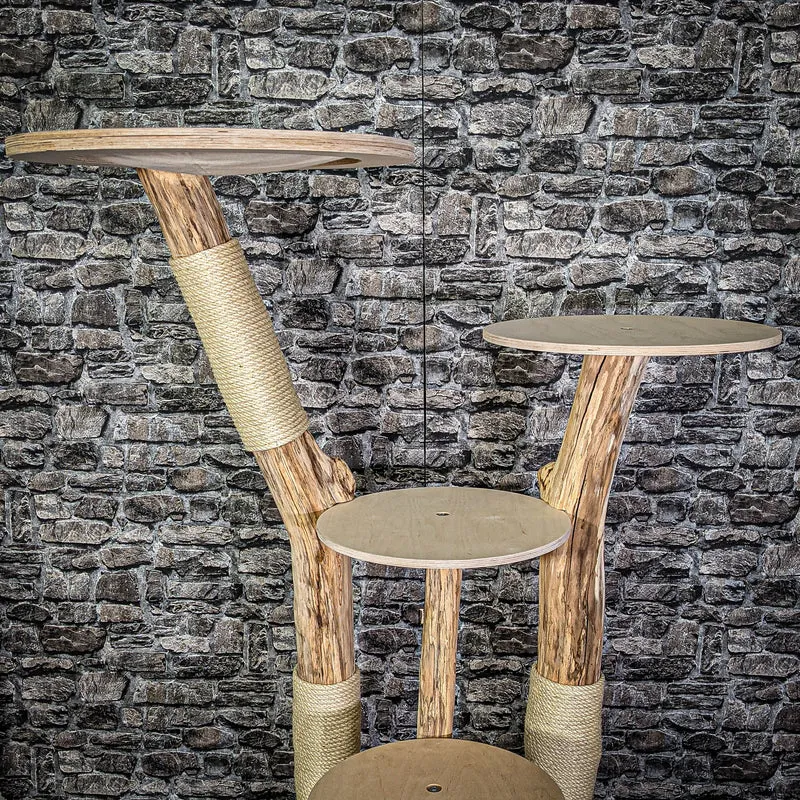 Naturkratzbaum 152 cm hoch Kratzbaum Natur Holz Design 2700 Katzenbaum