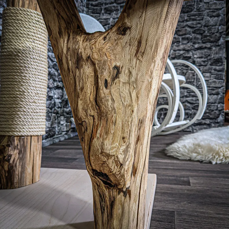 Naturkratzbaum 152 cm hoch Kratzbaum Natur Holz Design 2700 Katzenbaum