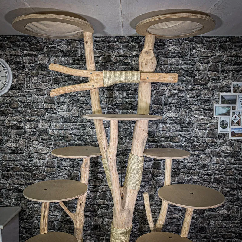 Naturkratzbaum 2698 Kratzbaum Natur Holz Design 245 cm hoch Katzenbaum