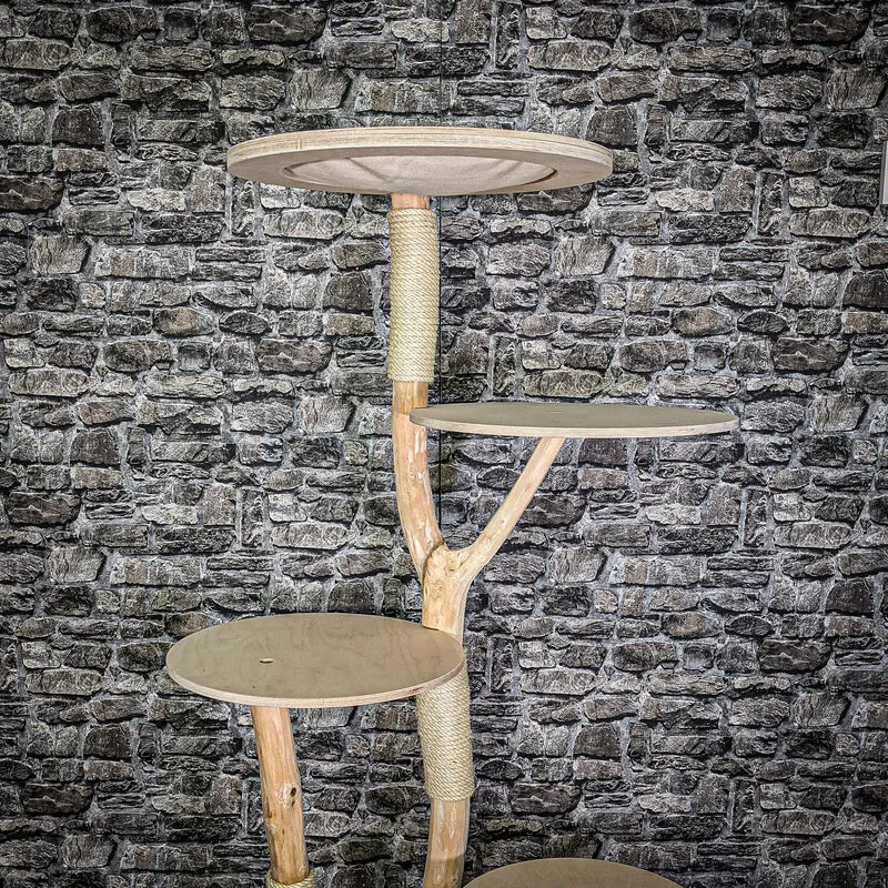 Naturkratzbaum 173 cm hoch Kratzbaum Natur Holz Design 2694 Katzenbaum
