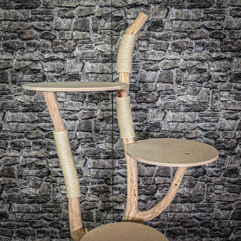 Naturkratzbaum 158 cm hoch Kratzbaum Natur Holz Design 2695 Katzenbaum