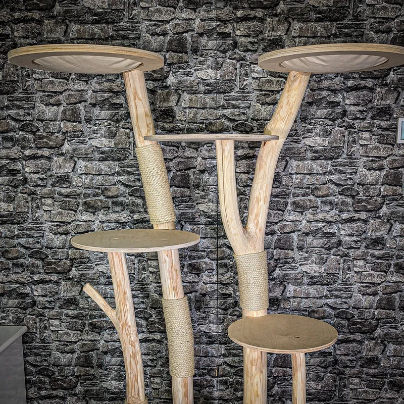Naturkratzbaum 205 cm hoch Kratzbaum Natur Holz Design 2693 Katzenbaum