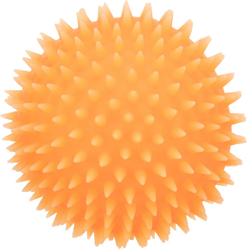 Igelball für Hunde