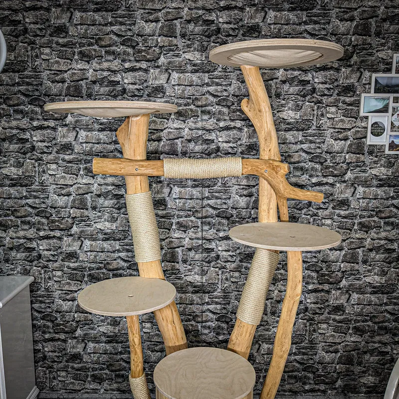 Naturkratzbaum 2371 Kratzbaum Natur Holz Design 198 cm hoch