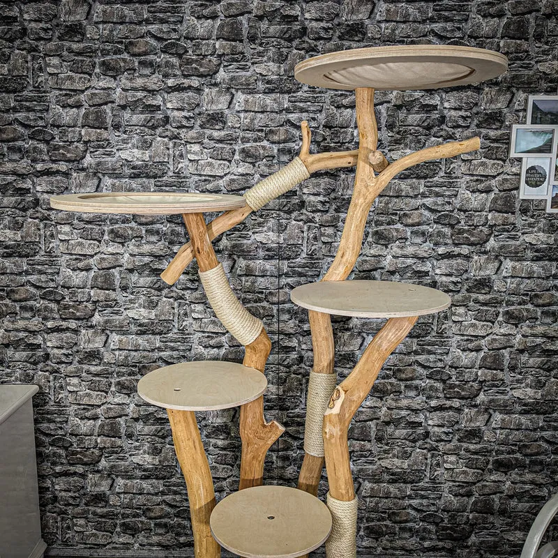 Naturkratzbaum 2354 Kratzbaum Natur Holz Design 195 cm hoch