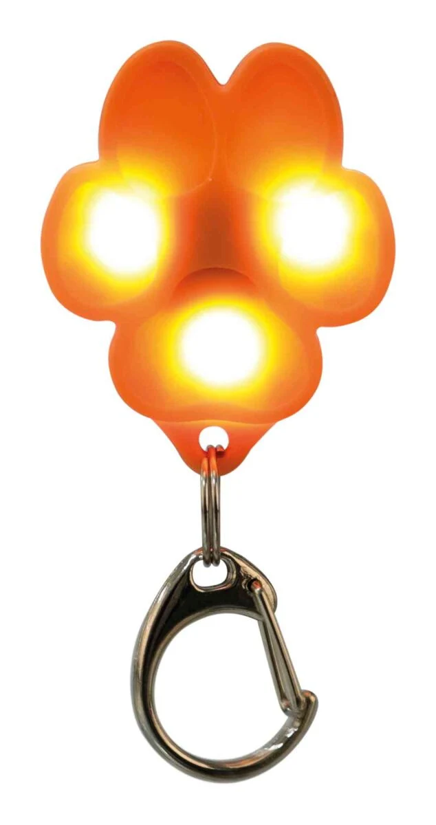 USB Flasher für Hunde