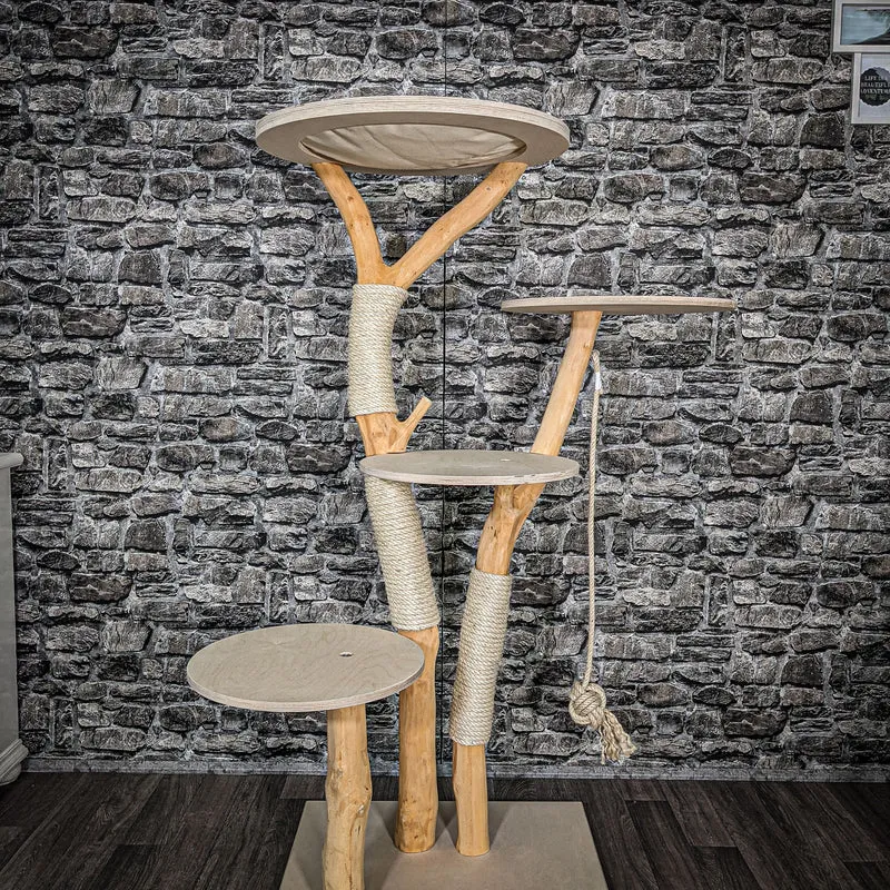 Naturkratzbaum 2574 Kratzbaum Natur Holz Design 144 cm hoch