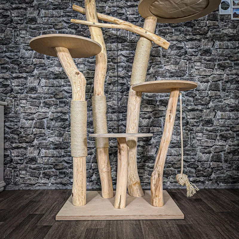 Naturkratzbaum 2570 Kratzbaum Natur Holz Design 173 cm hoch