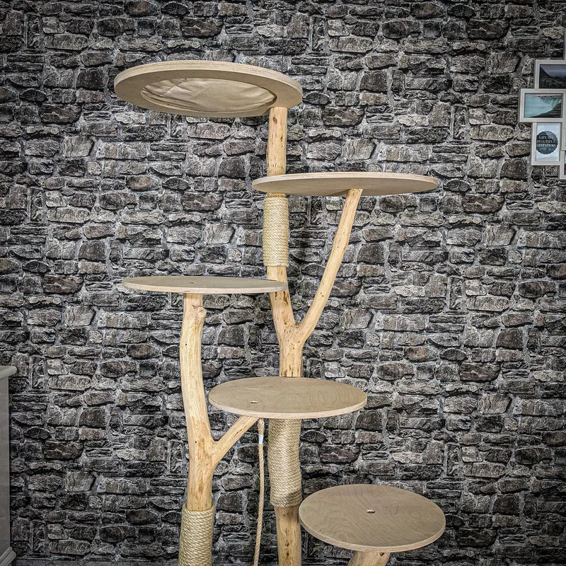 Naturkratzbaum 2568 Kratzbaum Natur Holz Design 173 cm hoch