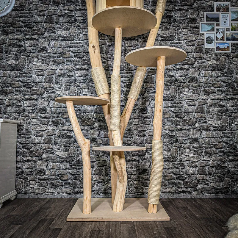 Naturkratzbaum 2564 Kratzbaum Natur Holz Design 225 cm hoch