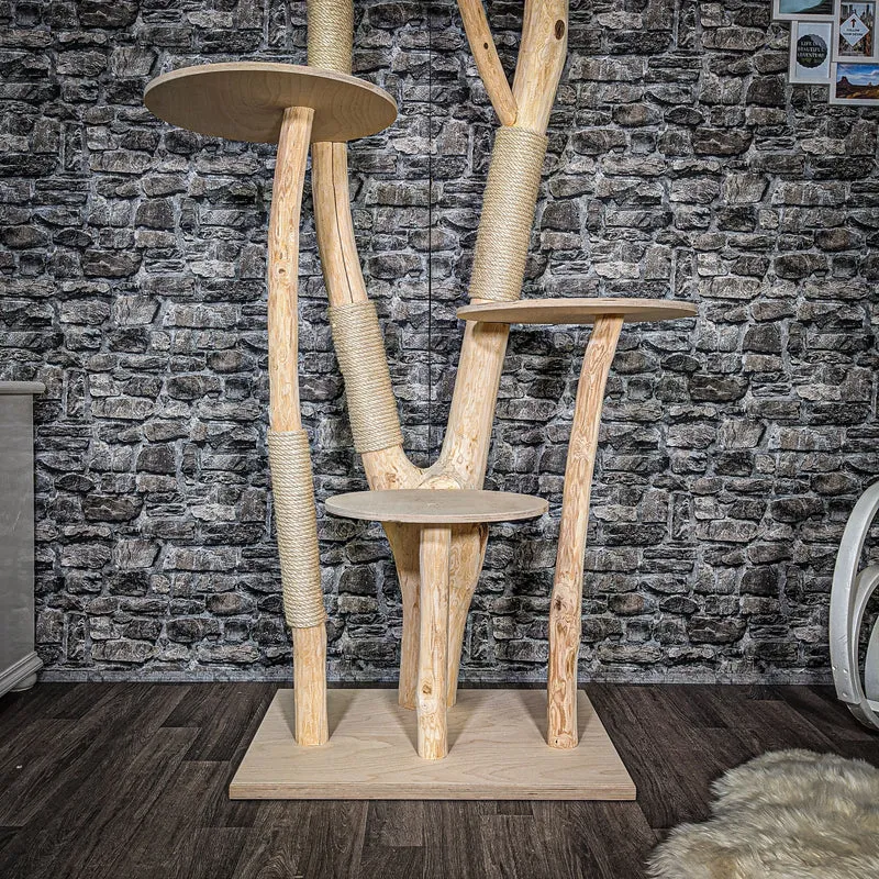 Naturkratzbaum 2543 Kratzbaum Natur Holz Design 210 cm hoch Katzenbaum