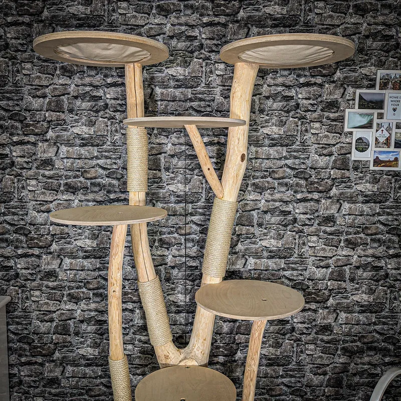 Naturkratzbaum 2543 Kratzbaum Natur Holz Design 210 cm hoch Katzenbaum