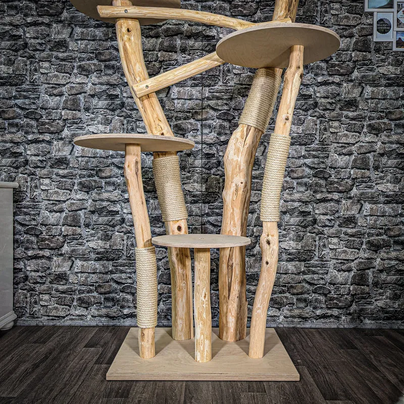 Naturkratzbaum 2509 Kratzbaum Natur Holz Design 208 cm hoch Katzenbaum