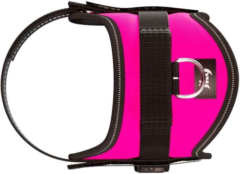 Julius-K9® Powergeschirr® Baby 1–Mini