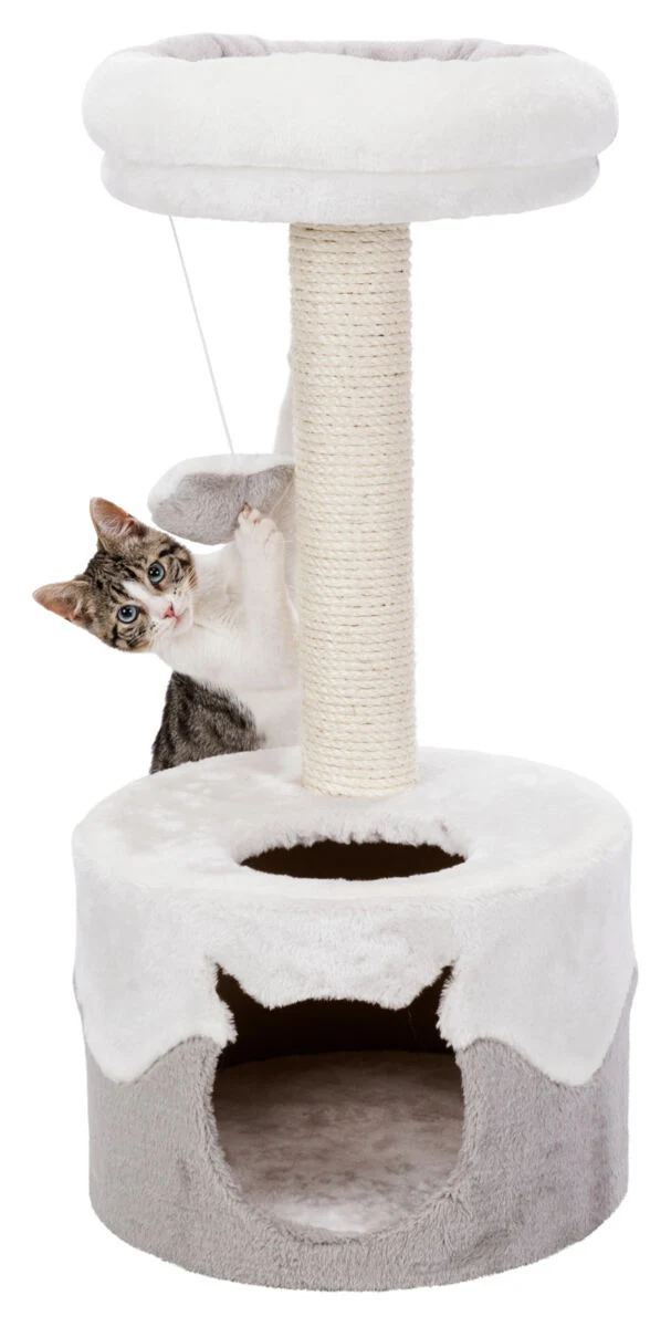 Kratzbaum Nuria
