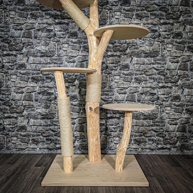 Naturkratzbaum 2521 Kratzbaum Natur Holz Design 175 cm hoch